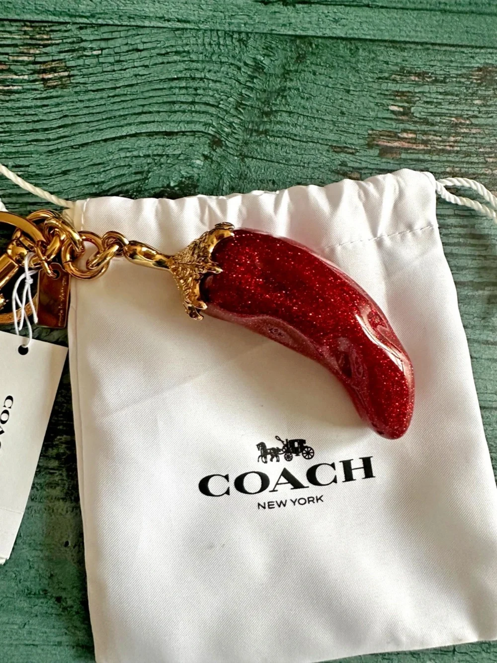 Coach key charm